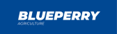 Blueperry