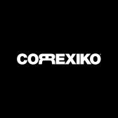 Logo CORREXIKO