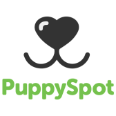 Logo PuppySpot