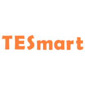 TESmart logo